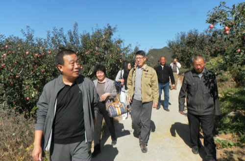 专家来下营镇进行“天津有机苹果生产技术推广与示范”项目验收