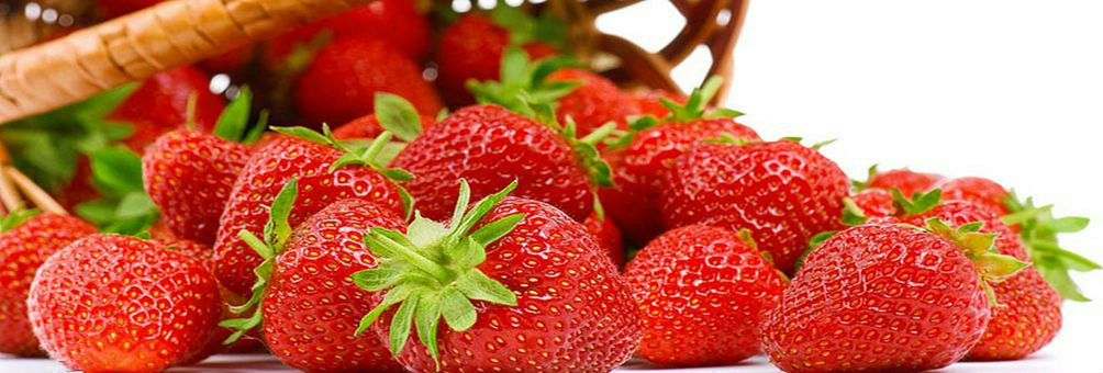 草莓产业