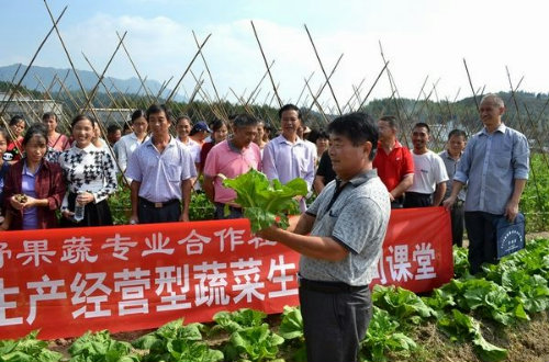 项继权:农村空心化,农业边缘化,农民老龄化应是乡村振兴的根本着力点