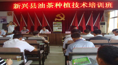 新兴县林业局举办油茶种植技术培训班