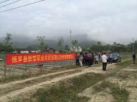 博罗县茶叶生产经营型职业农民培训班 在柏塘镇举行