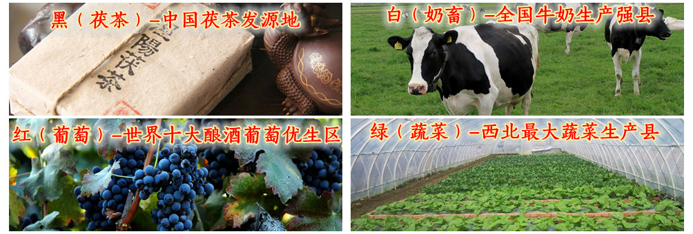 发展四色产业，打造现代农业