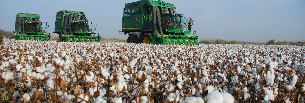 国家优质棉花生产基地