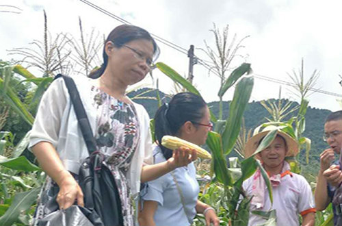 两江镇举行电商扶贫，为特色农产品谋出路