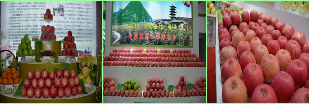 王母故里 佛宝圣地 养生泾川—中国红富士苹果之乡