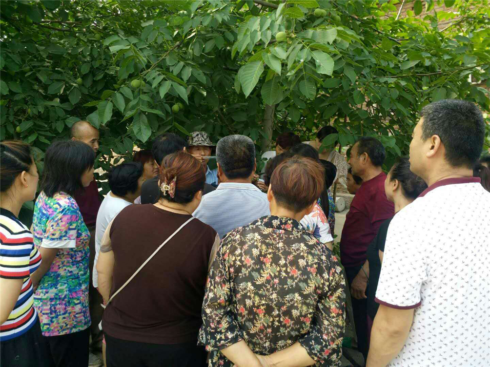 新密市总工会在牛店镇李湾村举办果树种植技能培训班