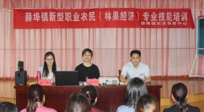 薛埠镇举办新型职业农民（林果经济）专业素养技能培训