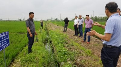 指前镇：召开2019年水稻一种就管技术培训会