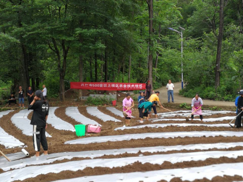 兴仁市农业农村局技术人员到500亩以上坝区开展农业技术培训