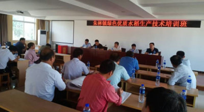 朱林镇举办绿色优质水稻生产技术培训班