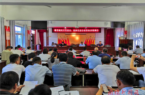 蕲县镇召开民主生活会、组织生活会业务知识培训会